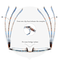 Miniatyrbilde 3 av 5: Lesebriller for damer, designer +1.0 1.5 2.0 3.0 3.5 4.0 Oversized briller Blue Frame,+100