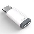 Lightning (hunn) til USB-C (hann) adapter
