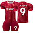 Miniatyrbild 1 av 2: 2425 Liverpool Hemmafotbollströja Darwin Tröja M(170-175cm)