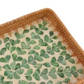 Miniatyrbilde 6 av 8: 3 stk. Rattan Fruktbrett Rektangulært Fruktbrett Flerbruks Oppbevaringsbrett for Hjem Restaurant Grønn Willow