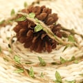 Miniatyrbild 5 av 6: 2 Roll Twine Green Leaf Jute 5MM Rope Hemp Burlap Ribbon String
