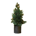 Miniatyrbild 1 av 5: Flocking artificial Christmas tree, desktop cedar Christmas