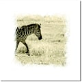 Miniatyrbild 4 av 8: Söt Zebra Canvas Väggkonst Målning Tryckt Bild Hemmakontor