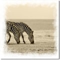 Miniatyrbild 3 av 8: Söt Zebra Canvas Väggkonst Målning Tryckt Bild Hemmakontor