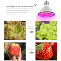 Miniatyrbild 2 av 4: E27 E14 LED Hydroponisk Blomväxt Tillväxtlampa för