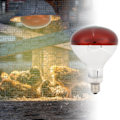 Miniatyrbild 1 av 8: Värmelampa Glödlampor Värmelampa Glödlampor Infraröd Reflektor Glödlampa För Jordbruksbruk Ljusterapi Röd Värmelampa Explosionssäker