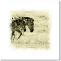 Miniatyrbild 5 av 8: Söt Zebra Canvas Väggkonst Målning Tryckt Bild Hemmakontor