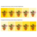 Miniatyrbild 5 av 8: Växtväxtlampa 20 LED Växande Ljus Full Spectrum USB Ringlampa för Inomhusväxter Succulenter Fröstart Hushållsblomma Växlampor