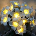 Miniatyrbild 2 av 7: Dekorativa LED-lampor Frangipani-lampa Blomsterfe-ljus för