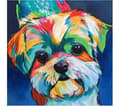 Diamantmålning, Hund 5D Diamantmålningskit, Diamantbroderi