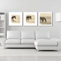Miniatyrbild 6 av 8: Söt Zebra Canvas Väggkonst Målning Tryckt Bild Hemmakontor