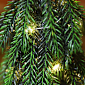 Miniatyrbild 4 av 5: Flocking artificial Christmas tree, desktop cedar Christmas