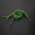 Miniatyrbild 1 av 8: Konstgjorda blad plastväxt vägg hängande murgröna blomma hem