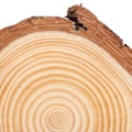Miniatyrbild 1 av 8: Naturliga träskivor, oavslutade träcirklar rustikt trä med bark solida stockskivor hantverk träkit för DIY hantverk julgransprydnader, förslipade