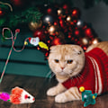 Miniatyrbild 3 av 8: 2024 Katt-Adventskalender med 24 Katt-Leksaker, Fjäder- och Musleksaker för Katter, Julnedräkningsskoj (Stil 1) Style 1