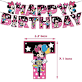 Pikkukuva 5 / 5: SQBB Minnie Mouse Ladan Födelsedagsfest Dekorationer Tillbehör Banner Ballonger Tårtdekorationer Set