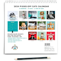 Miniatyrbild 6 av 7: Arg Cat Kalender 2024, Rolig Månadskalender för Kattälskare (3 st) 3 pcs