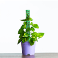 Miniatyrbillede 4 af 5: Mosspæle til klatreplanter gräs färg græs farve