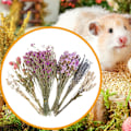Miniatyrbilde 3 av 7: Blomstrete Hamsterbur Tilbehør, Blomster Høy Seng for Løpemus C