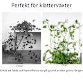 Pikkukuva 7 / 8: Itsekiinnittyvät Kasvinpidikkeet - Älykkäät Näkymättömät Kasvikiinnikkeet 20-Pack