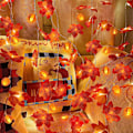 Pikkukuva 5 / 7: Vaahteranlehti Valojuova, 6m 40 LED, Syyskauden Valojuova Halloweeniin, Kiitospäivän Koristeluun b