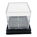 Miniatyrbild 4 av 4: Transparent fyrkantig displaylåda för baseboll, docka för levande