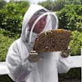 Pikkukuva 3 / 8: Mehiläishoitopuku, kokovartaloinen mehiläispuku, jossa on huntu, huppu, hattu, mehiläishoitajan asu, suojaava mehiläisvaruste, ulkoilma, elävä Vit