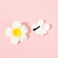 Miniatyrbilde 4 av 4: 4 stk. Hawaii-inspirerte Plumeria hårklipp for strandfest (hvite) 4pcs White