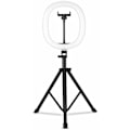 Miniatyrbilde 2 av 9: 10\" 10W 5V 2A Teleskopisk sammenleggbar integrert Live Fill Light 3 lysmoduser 10 lysstyrke