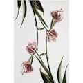 Pikkukuva 5 / 9: Hihaton A-linjainen Volangitaskullinen Rentu Maxi-mekko (Valkoinen M)