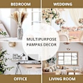 Miniatyrbillede 4 af 4: 50 stk | Tørrede pampasgræs 18 tommer, kompatibel med blomsterarrangementer Boho bryllupsdekoration