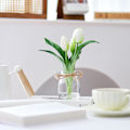 Miniatyrbillede 3 af 4: Hvide Tulipaner i Glasvase med Kunstigt Vand, Ægte Touch Blomster til Køkken og Bryllupsdekoration White