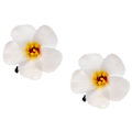 Miniatyrbilde 1 av 2: 2 stk. Hawaiiske Plumeria Hårklipp for Strandfest (Hvit) White