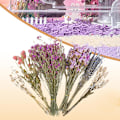 Miniatyrbilde 6 av 7: Blomstrete Hamsterbur Tilbehør, Blomster Høy Seng for Løpemus C
