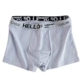 Pikkukuva 1 / 7: 5 kpl Herrunderkläder Man Boxersexiga kalsonger Bekväma Andas Mode Pojkar Trosor Underkläder Boxershorts Herr 2PCS-Mix-03 Light Grey XXXL-75-90kg