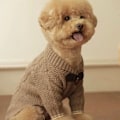 Miniatyrbilde 1 av 7: Hunderklær Høst Vinter Medium Liten Hund Strikket Ullgenser Varm Jakke Kattunge Valp Mote Genser Chihuahua Yorkshire Mops Brun S 1.5-2.5KG