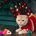 Miniatyrbild 3 av 8: 2024 Katt-Adventskalender med 24 Katt-Leksaker, Fjäder- och Musleksaker för Katter, Julnedräkningsskoj (Stil 2) Style 2