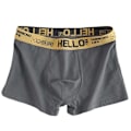Miniatyrbild 6 av 7: 5 st Herrunderkläder Man Boxersexiga kalsonger Bekväma Andas Mode Pojkar Trosor Underkläder Boxershorts Herr Yellow Green XXL-65-75kg