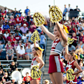 Miniatyrbillede 5 af 5: 12 stk Cheerleading Pompoms Multicolor Pompoms