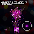 Miniatyrbillede 3 af 4: 12 Pak Batteridrevne Fe-Lys, 7ft 20 LED til Bryllup, Mason Jar 6 Colors 12 Pack