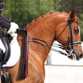 Pikkukuva 3 / 5: Whip Ride, Ratsastusvitsa hevosille, Ratsastusvitsa, Ratsastusvitsa härkätaisteluun, Vaatevarusteet, PU-nahkainen kahva, Sirkuskahvan harjoitusväline, Piiskajuhlat Cosplay