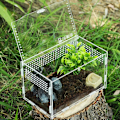 Miniatyrbillede 3 af 5: Insektfoderkasse, akryl terrarium beholder til edderkop øgle frø skorpion, kæledyr krybdyr habitatS S S