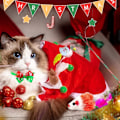 Miniatyrbild 7 av 8: 2024 Katt-Adventskalender med 24 Katt-Leksaker, Fjäder- och Musleksaker för Katter, Julnedräkningsskoj (Stil 1) Style 1