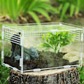 Miniatyrbillede 4 af 5: Insektfoderkasse, akryl terrarium beholder til edderkop øgle frø skorpion, kæledyr krybdyr habitatS S S