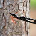 Miniatyrbillede 4 af 4: Vandring Udforsk Camping Bestik Rustfrit Stål Bærbart Bestik (sort) 1stk