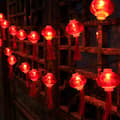 3m 20 LED Tassel String Lights Decorated with Red Lanterns for Spring Festival Lantern Festival