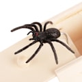 Miniatyrbillede 2 af 5: Træ edderkop prank boks, pop ud gummi håndlavet skræmme boks prank gag plastik sjov joke halloween narre