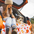 Miniatyrbillede 5 af 5: Efterårstæppe, Halloween Græskar Efterår Plys Efterårsindretning Fleece Fuzzy Picnic Tæppe til Sofa Sofaer Stole (50 \" x 60 \")（YSJ）