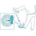 Miniatyrbilde 4 av 5: 6-pakning moppehodefylling - Spin moppehodefylling - Mikrofiber spin moppefylling - Enkel rengjøring - Rund form - Standardstørrelse