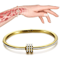 Pikkukuva 1 / 5: Crainoc Titaniumion Osimium Bangle, Lymfaattinen viemäriranneke, Magneettiterapia ranneke miehille ja naisille